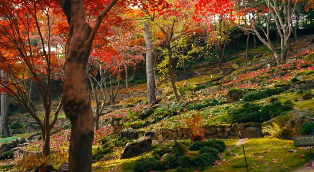 가을풍경