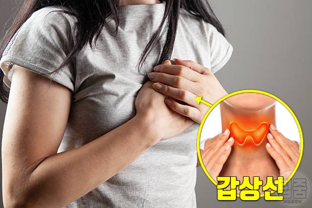 갑상선 기능 항진증 증상 갑상선기능항진증 자가진단 가슴 두근거림 숨차는증상