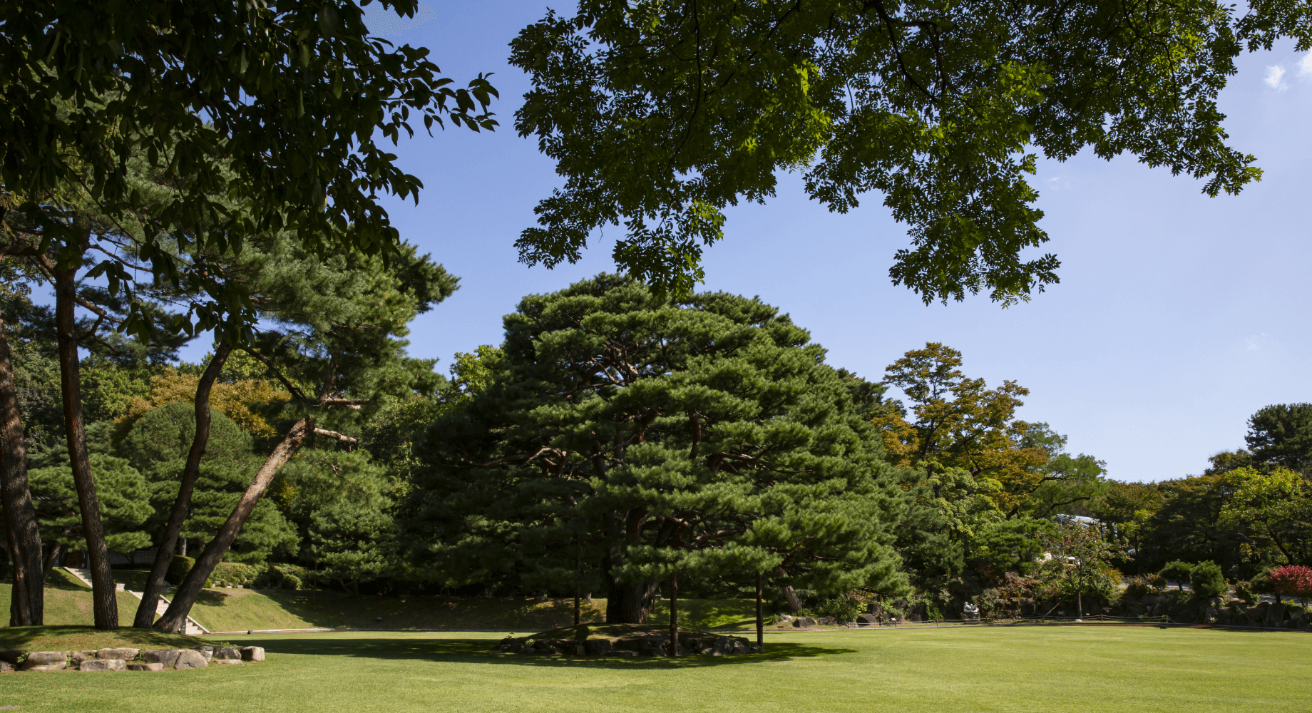 청와대 녹지원1