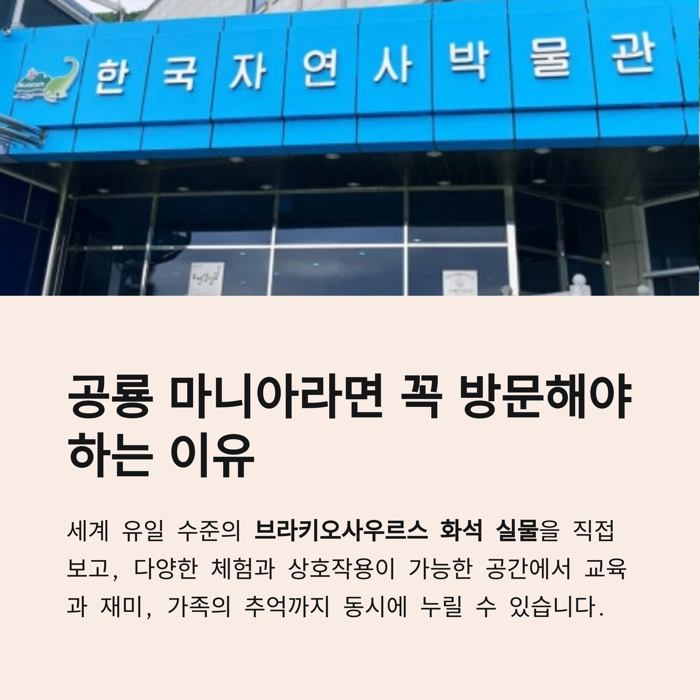 공룡 마니아라면 꼭 방문해야 하는 이유