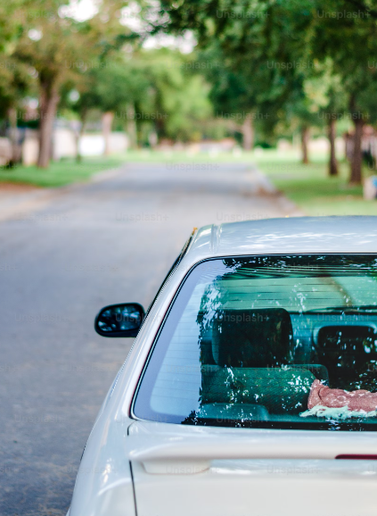 쏘카 고객센터 전화번호