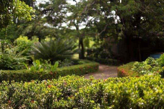 조경학 기반 기후회복형 조경 설계와 물순환 시스템