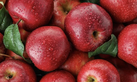 ⑩ 사과(Apple)