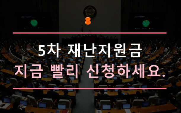 5차-재난지원금