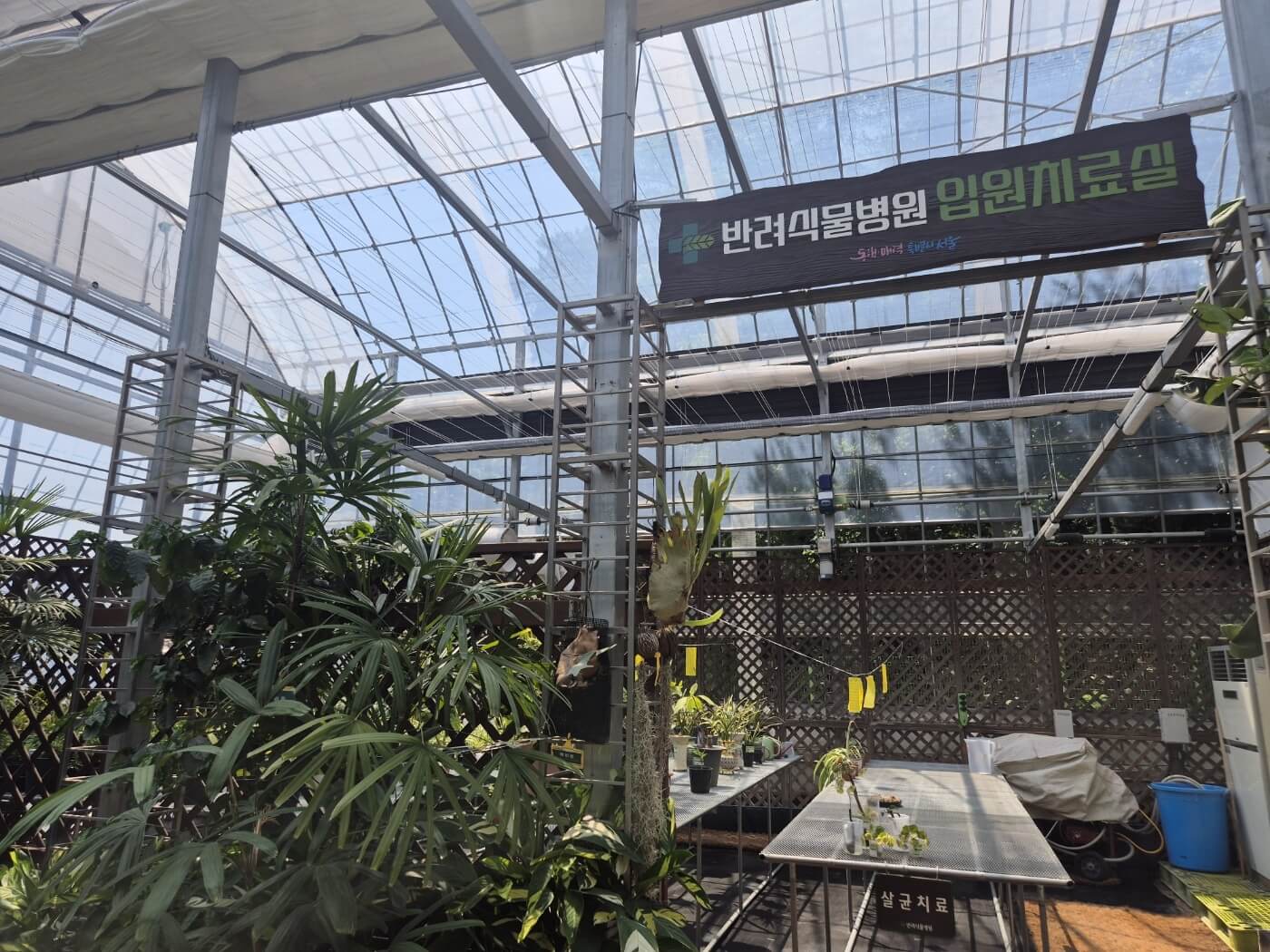 서울시 반려식물 클리닉 신청방법 예약