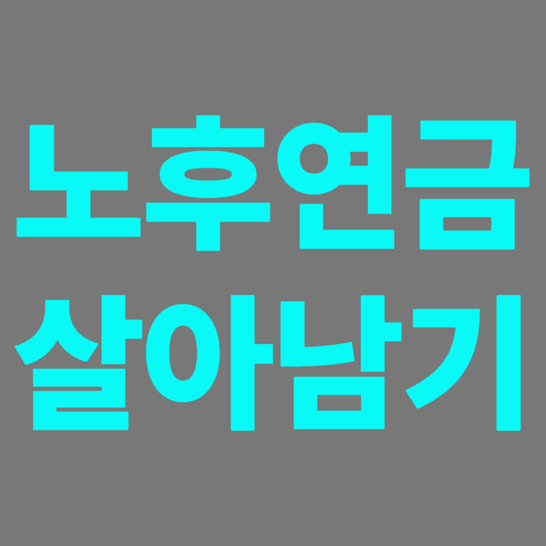 누후 은퇴자금으로 턱없이 부족할것으로 판단되는 국민연금과 개인퇴직연금등 살아가기위한 모색이필요