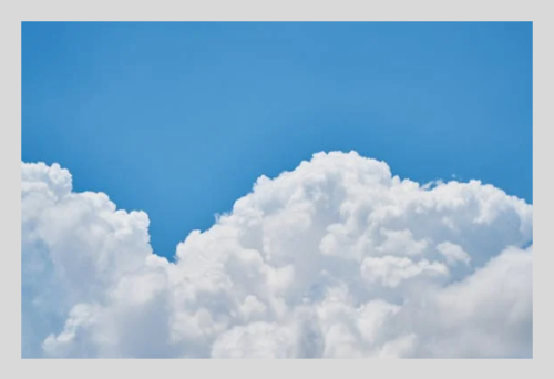 러브버그 방역법