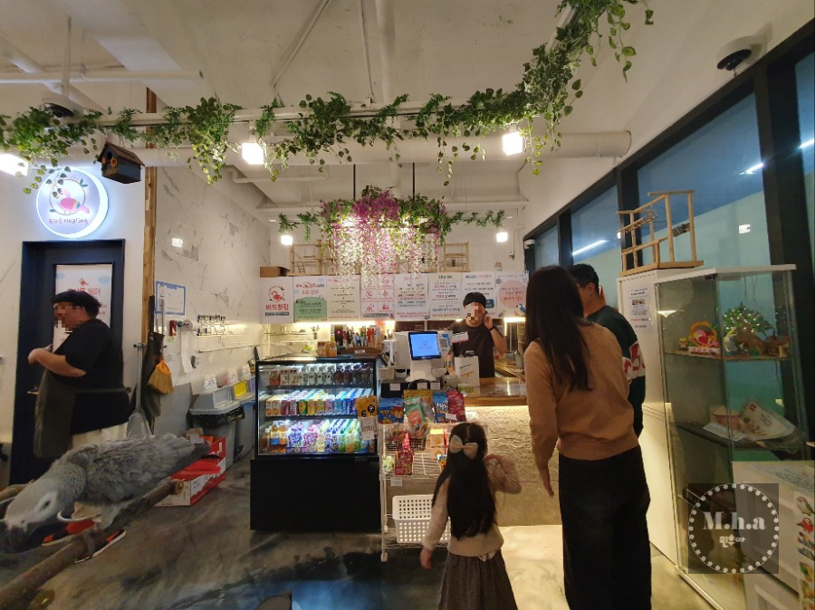 배곧 버드 힐링 주문