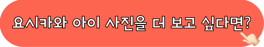 요시카와아이_인스타그램_바로가기