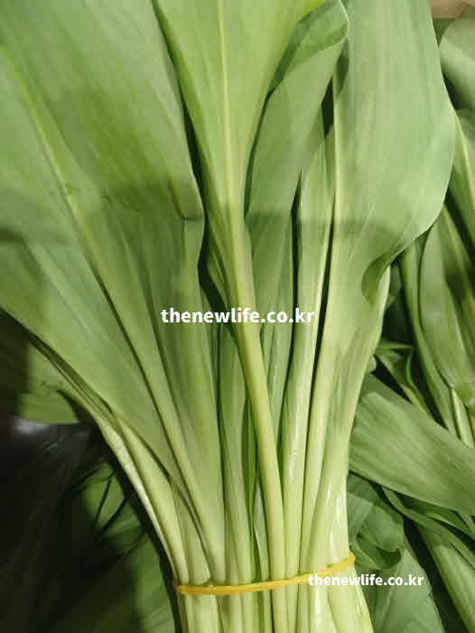 명이나물 효능 요리법 무침
