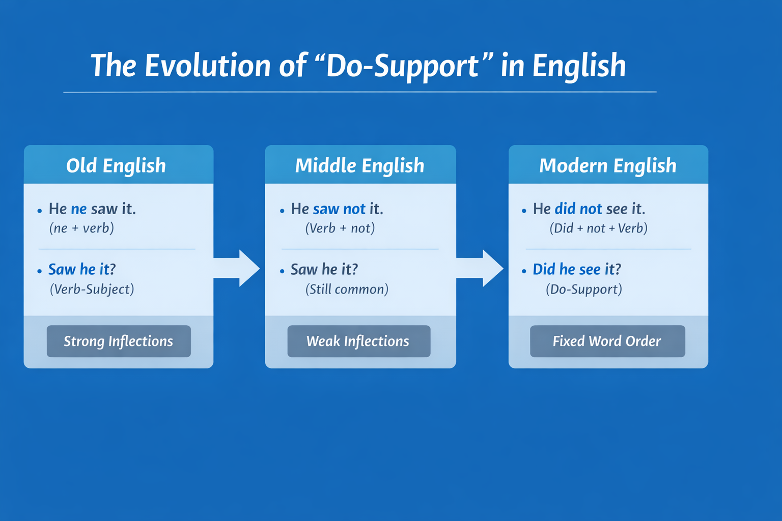 영어만 Do-support가 필요한 이유: 부정·의문 구조의 진화