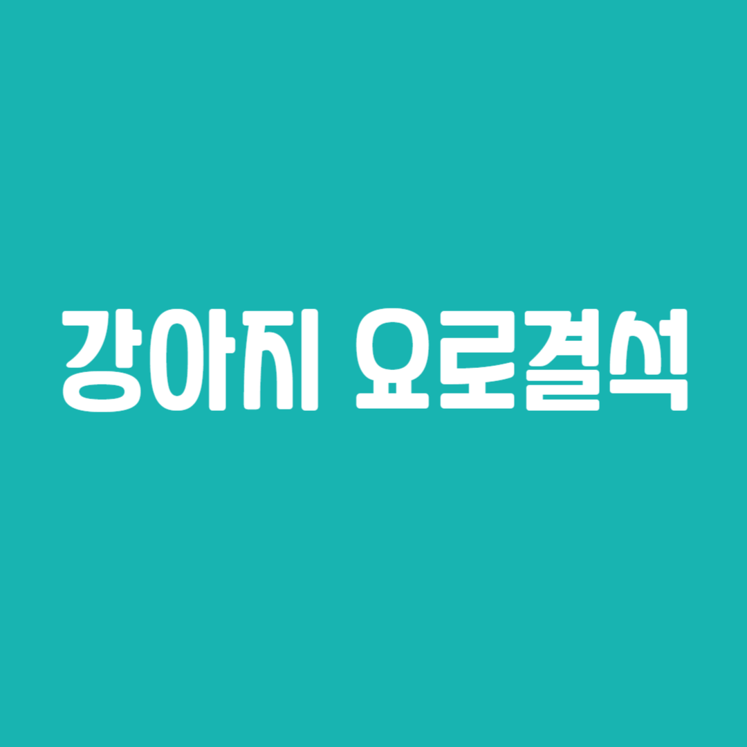 강아지 요로결석