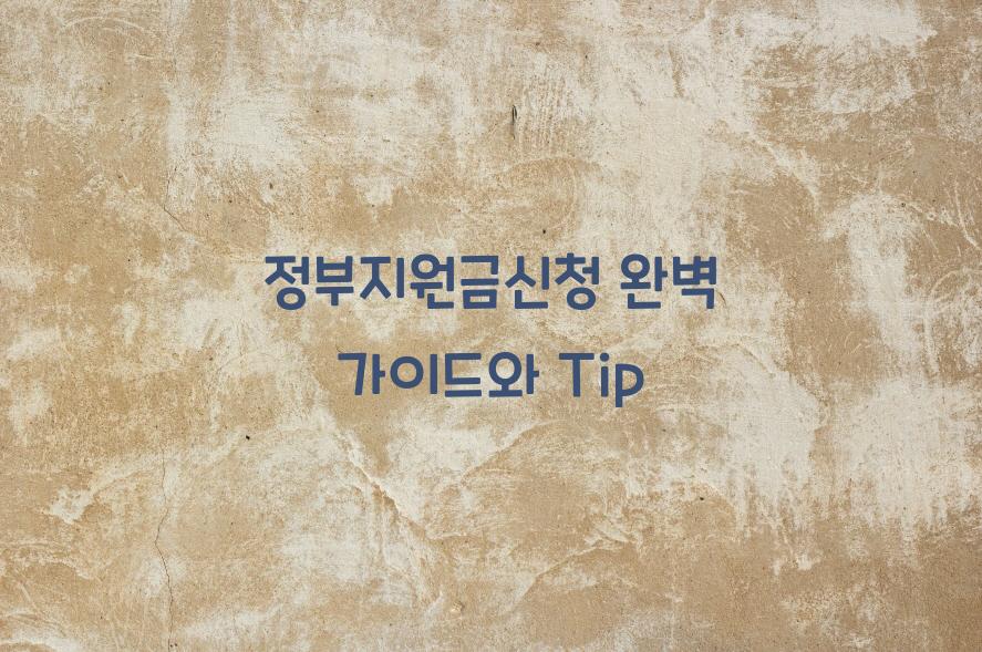 정부지원금신청