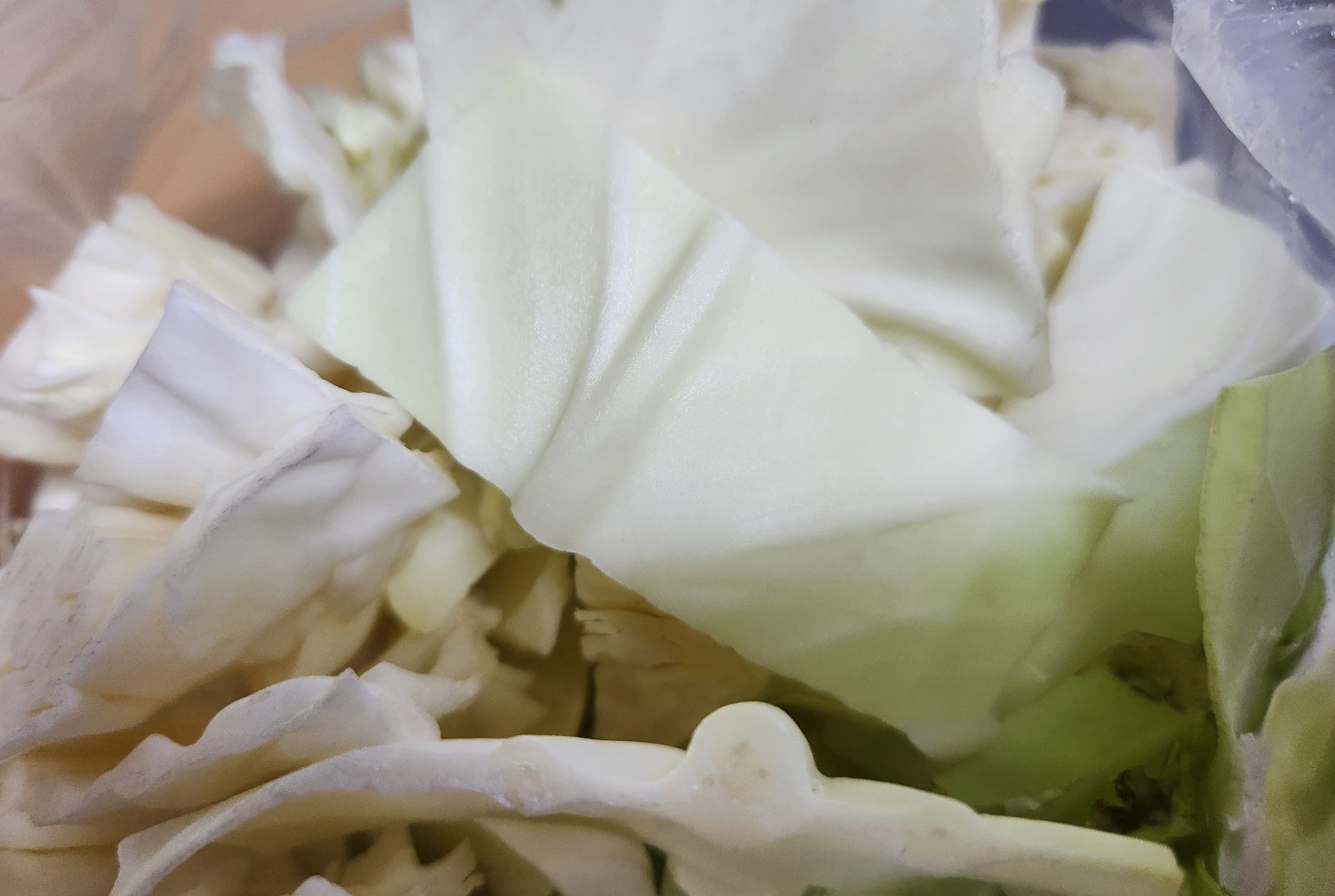 마녀수프진서연편스토랑