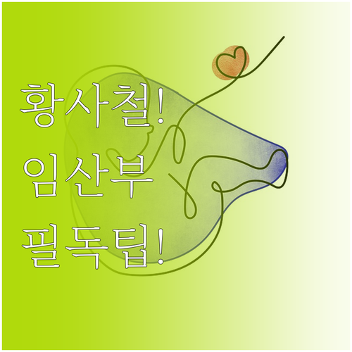 황사철 임산부 건강 관리와 중금속 배..