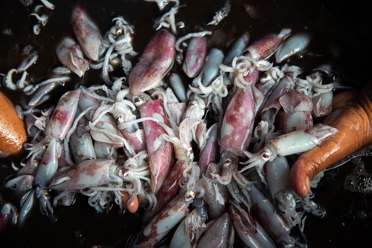 가을에 꼭 먹어야 하는 제철 음식 '수산물'ㅣ전어, 꽃게, 새우, 갈치, 전복 등