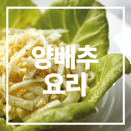 양배추 요리