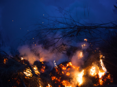 2025 산불 피해 보상 신청 방법