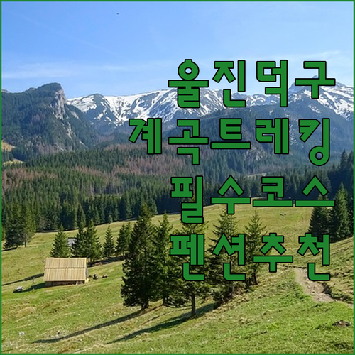울진 덕구계곡 트레킹 후기 및 예약하..