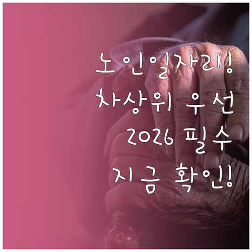 2026 노인일자리 사회서비스형 선발..