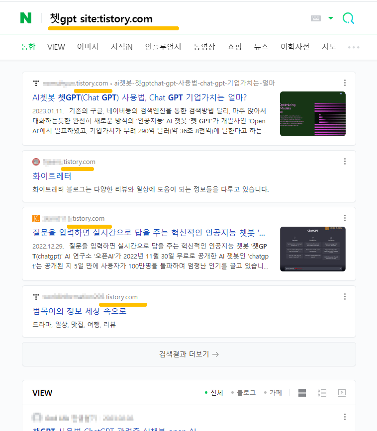 검색에서 티스토리나 네이버만 보기