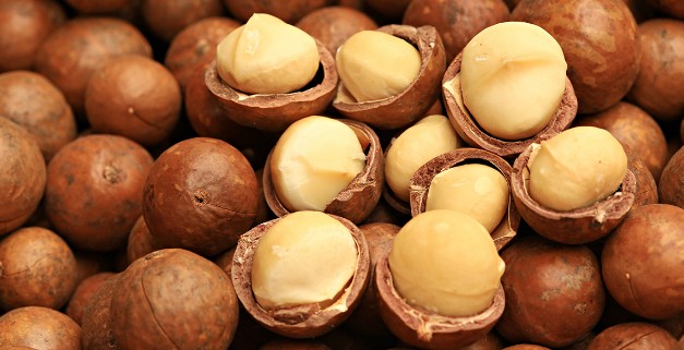 견과류 하루 섭취량 - 마카다미아 하루 섭취량 / 칼로리