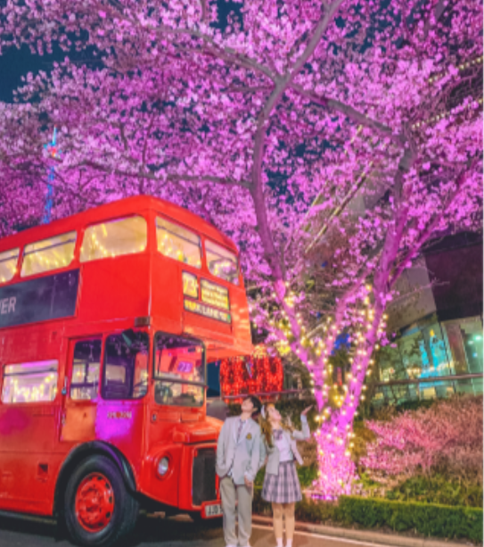 이월드벚꽃로드