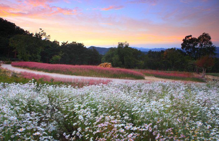 칠곡 가볼만한곳 베스트10