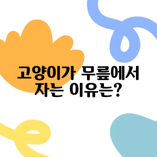 고양이가 무릎에서 자는 이유는?