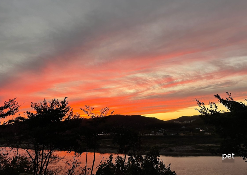 경기-파주-강나루야영-예약-방법-애견-동반-가격-주소-시간-후기