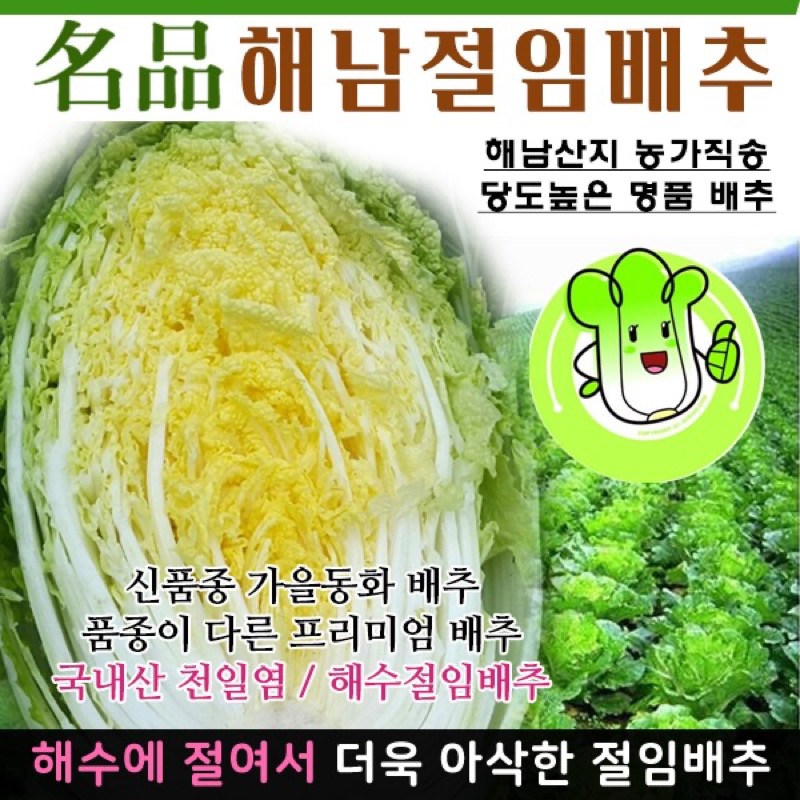 절임배추 보관 김치통