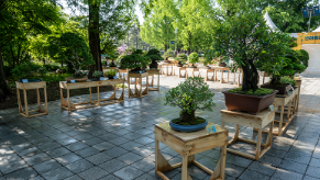 고양꽃박람회 입장료