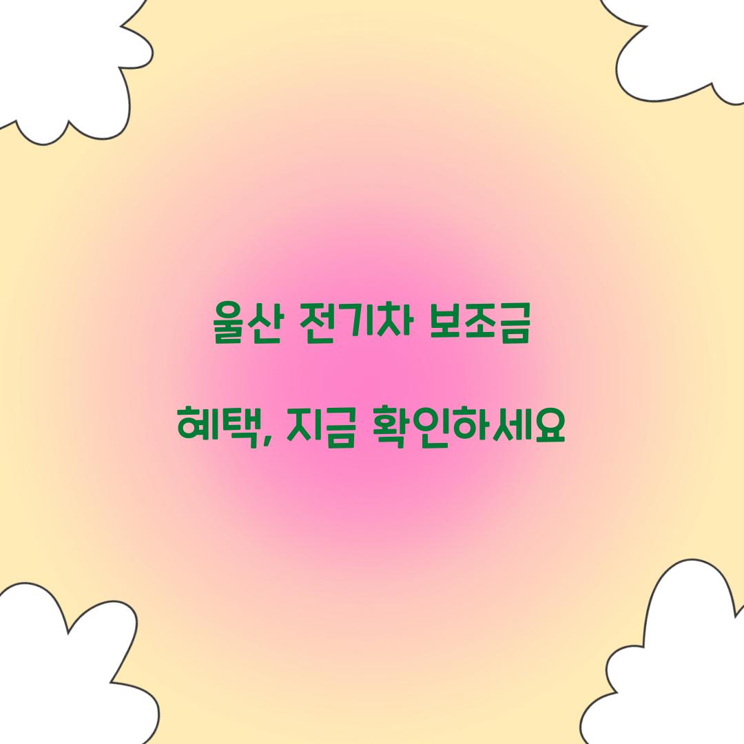 울산 전기차 보조금