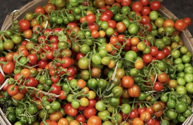 이색 농산물 탐구: 한국에서 만나는 희귀 과일과 채소