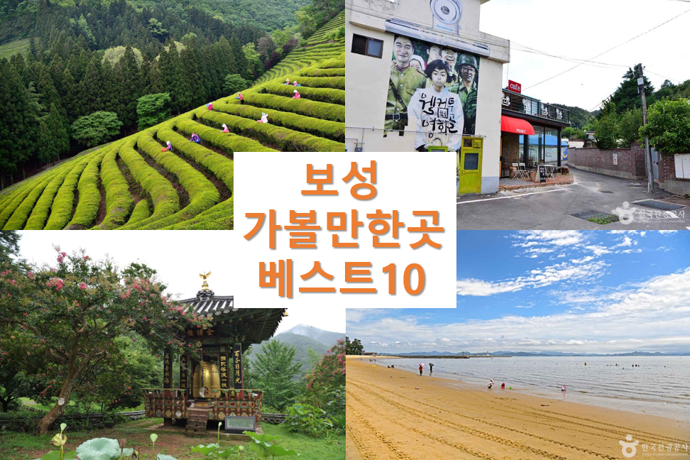 보성 가볼만한곳 베스트10 추천 명소 여행지