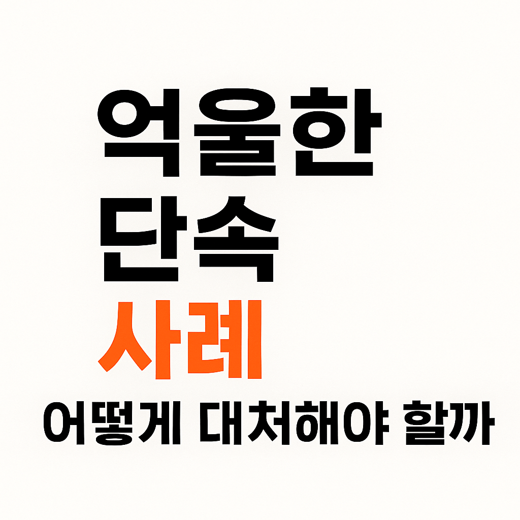 끼어들기 단속 기준 총정리