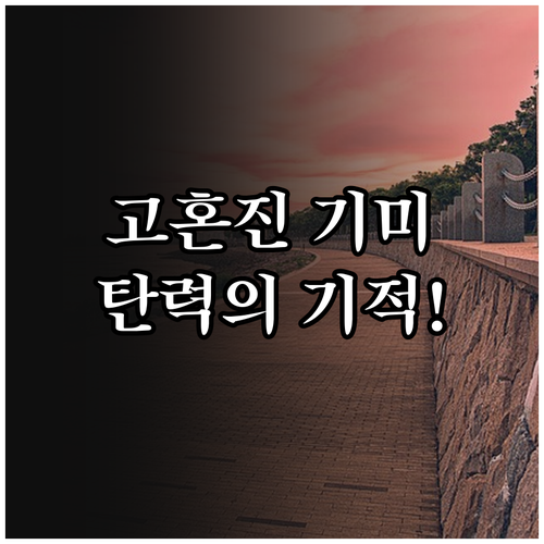 기미 탄력 개선을 위한 고혼진 화장품..