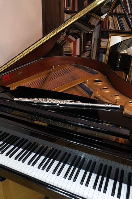 클래식 음악과 관련한 사진