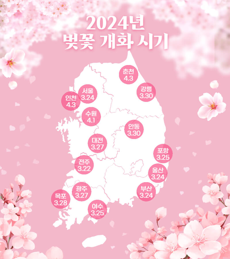 2024년 벚꽃 개화 시기