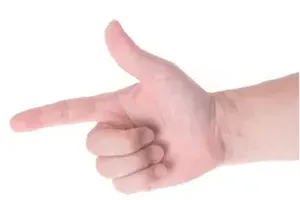 손