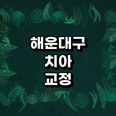 부산 해운대구 교정 치과