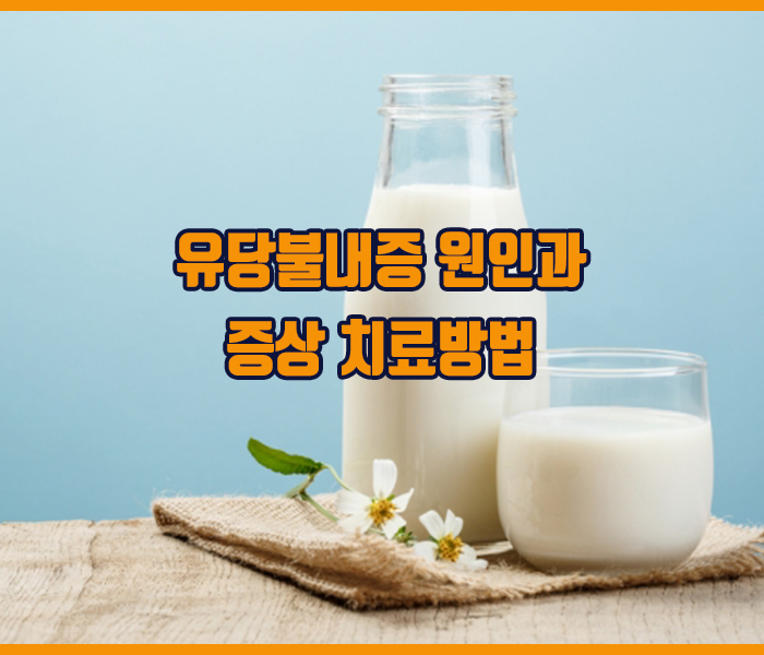 유당불내증 원인과 증상 치료방법 정리