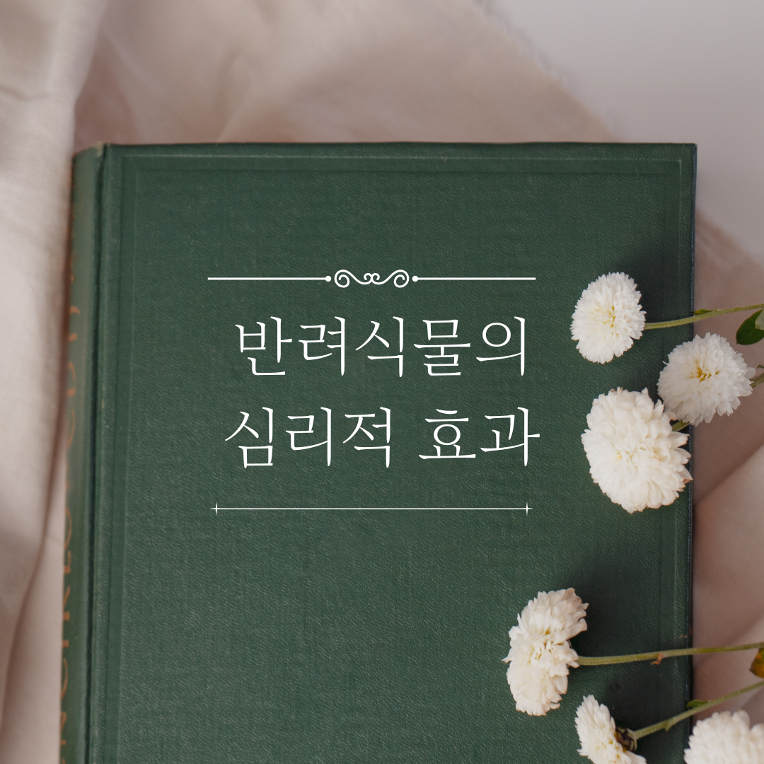 반려식물의 심리적 효과