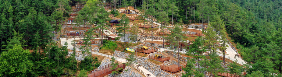 월출산 국민여가캠핑장