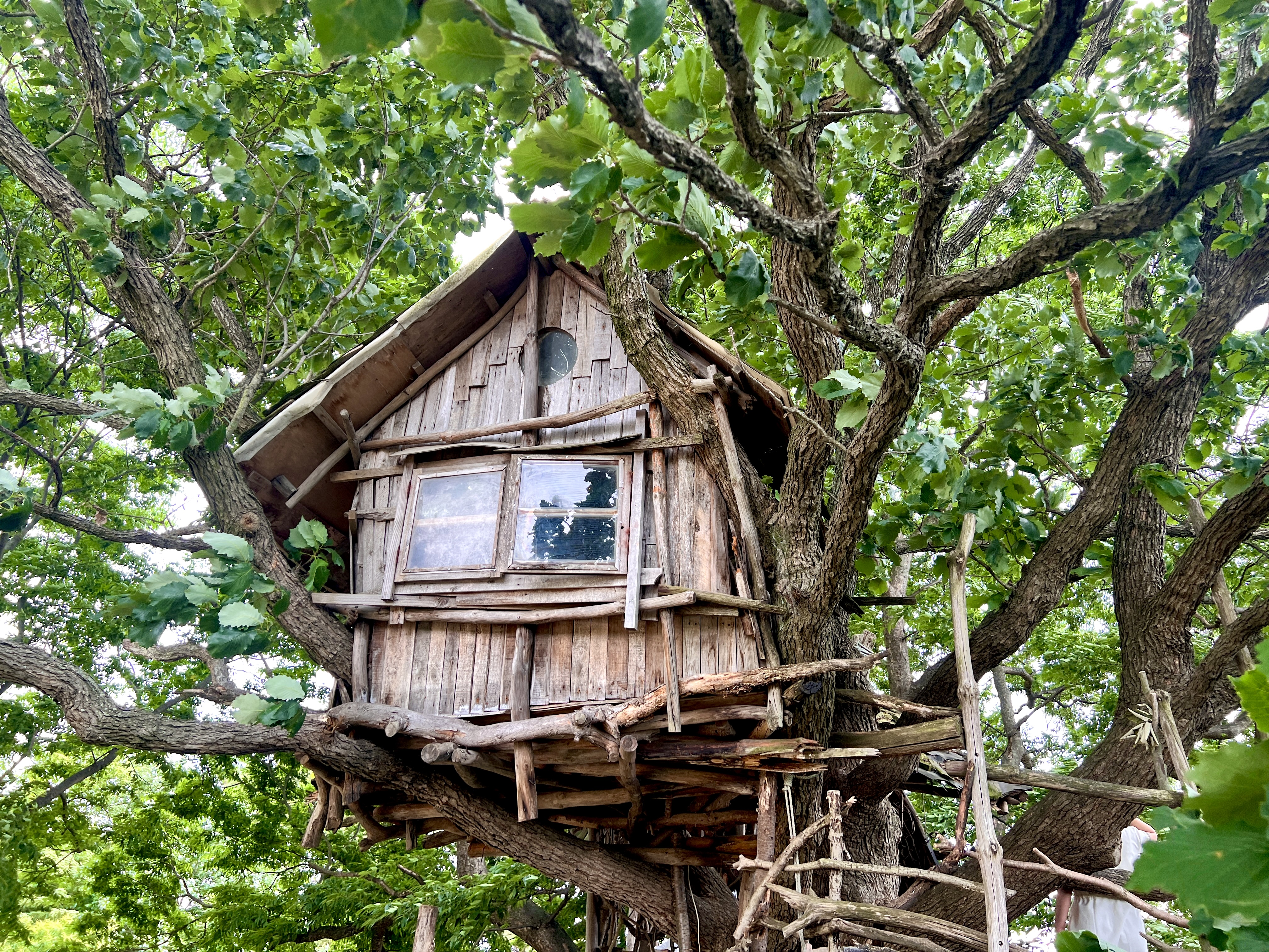 미즈노씨네 트리하우스 외관사진