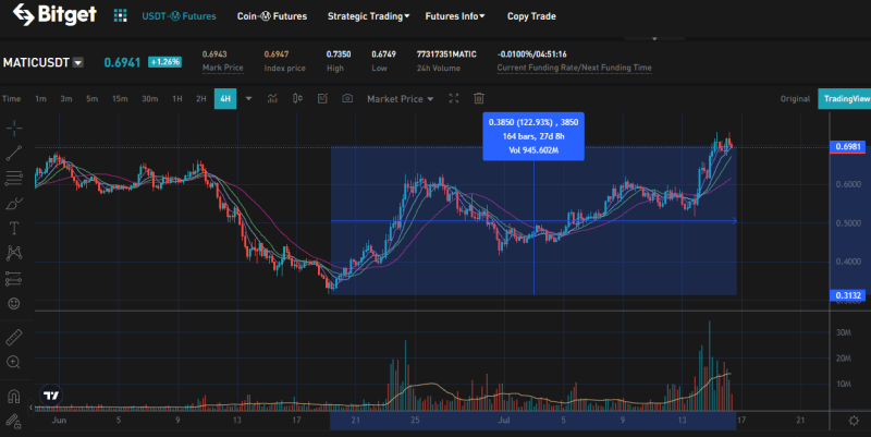 비트겟 폴리곤 차트