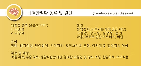 뇌졸중 위험 요인