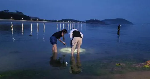 원산도