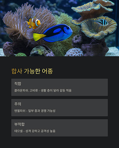 합사 가능한 어종