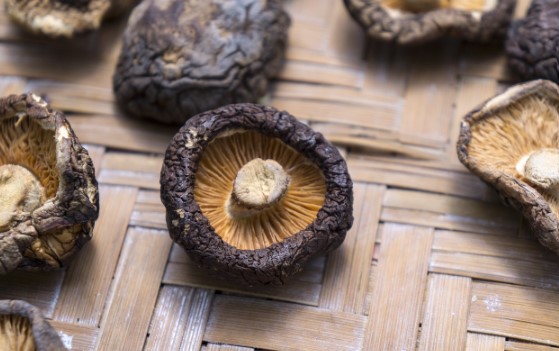 표고버섯 효능 및 보관법